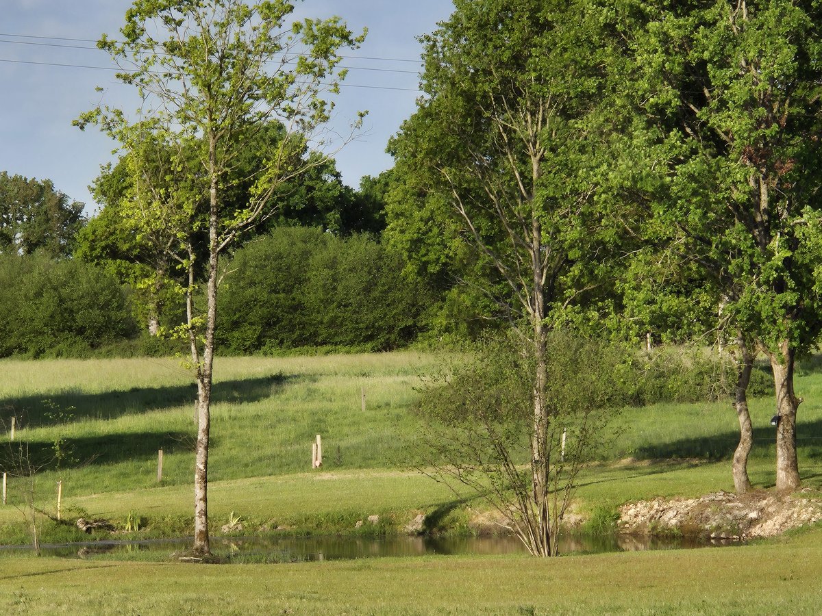Jardin du gîte Ô Clair de Lune