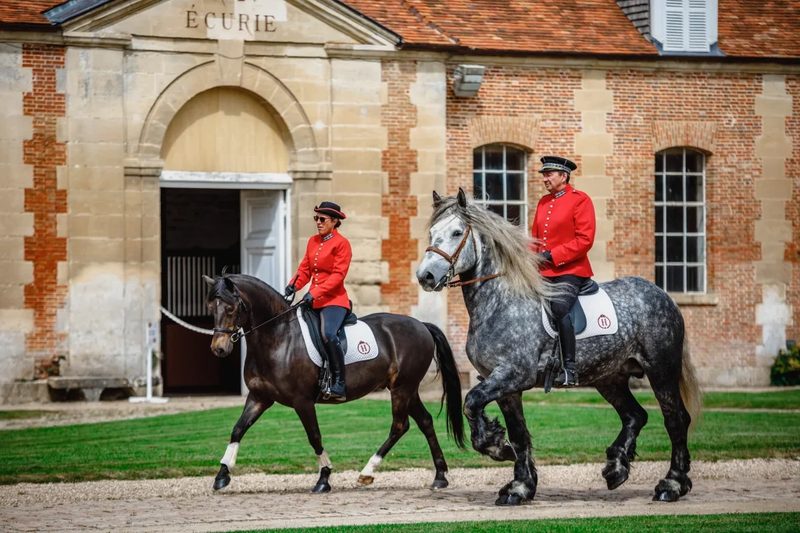 Haras du Pin